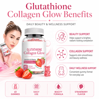 Collagène Hydrolysé Multi-Sources Sous Marque Blanche – Soutien Beauté Peau & Cheveux – Vitamine C, Acide Hyaluronique, Collagène de Bovins Élevés en Pâturage