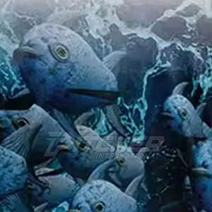 เสื้อตกปลาแขนยาวผ้าโพลีเอสเตอร์ 100% ระบายอากาศได้ดี น้ำหนักเบา ป้องกันแสงแดด UPF 50 สำหรับการตกปลาทั้งวัน - Product Image 6