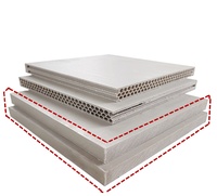 Panneau de coffrage en PVC Coffrage en plastique pour la construction