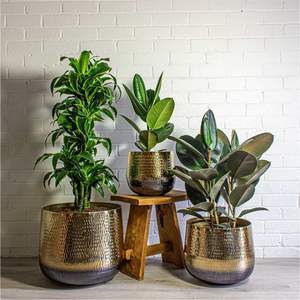 Ventes en gros de grands pots à plantes en or sur mesure, pots décoratifs en métal pour jardin, bac à fleurs d'intérieur, pot à fleurs en acier inoxydable de luxe couleur champagne - Product Image 4
