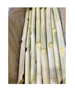 Palitos de Caña de Azúcar Congelados Preparados para la Elaboración de Jugos y Bebidas - Product Image 1