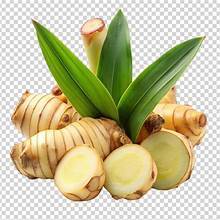 สารสกัดจากพืชบริสุทธิ์รากข่าสำหรับการสนับสนุนภูมิคุ้มกันและฉลากที่สะอาดแหล่งอาหารจากธรรมชาติ - Product Image 4