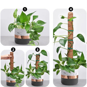 <b>Cover</b> Shipping Fee US Stock 4pcs <b>Plastic</b> Coated Moss Pole Kit with Coir Totem Pole Monstera Indoor Plant Support for <b>Greenhouse</b> - Product Image 3