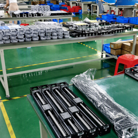 Module linéaire robotisé à axe unique KK30 à KK130, moteur pas à pas, entraînement par vis à billes, précision de grade C P, pour automatisation CNC