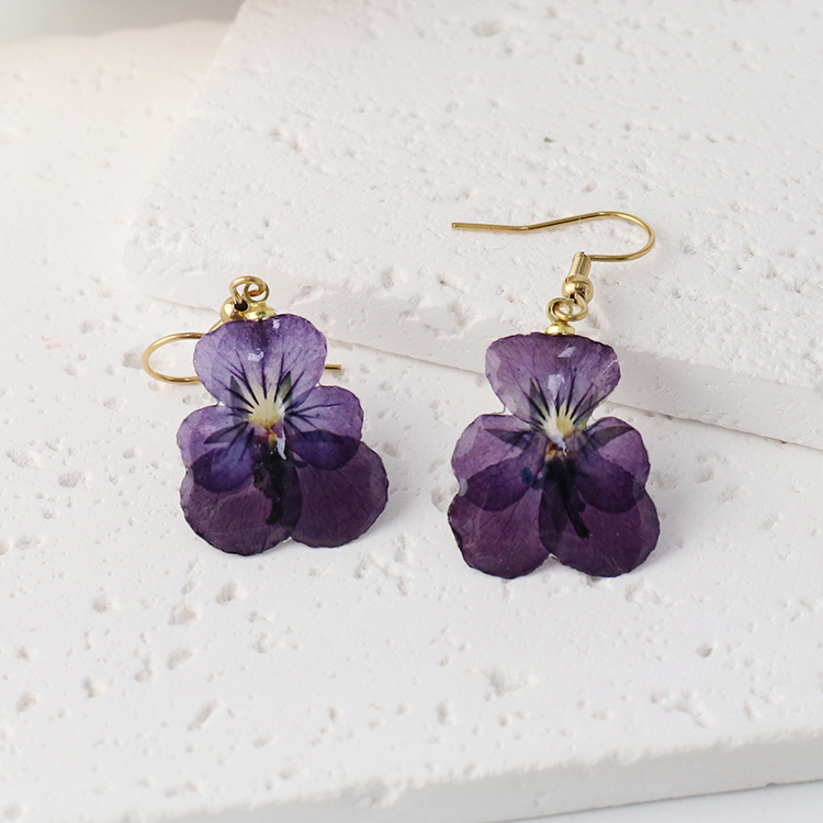purple Dichromatic pansy