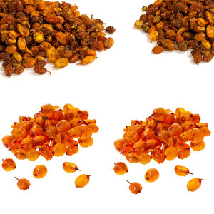 Bayas de Espino Amarillo Secas |   99% de Pureza, 3 Años de Vida Útil |   Cosechado de Forma Ética para Mercados Ecoconscientes de Productos para el Cuidado de la Piel y Té - Product Image 4