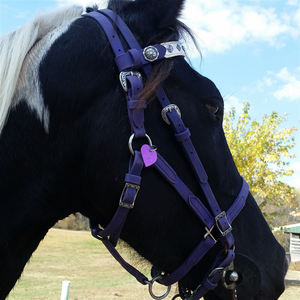 บังเหียนม้า PVC แฟชั่น,ผลิตภัณฑ์ขี่ม้ากันน้ำสวมใส่สบายทนทานแบบอาหรับกายวิภาคการขี่ม้า - Product Image 5