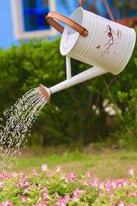 Arrosoir de jardin conçu pour les fleurs, les légumes et les pelouses, offrant un jet fluide et une construction durable - Product Image 4