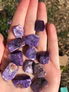 พลอยชาร์ไรต์100% ธรรมชาติทรงหลวมคุณภาพสูงอัญมณีเกรดส่งออกแบบรูปร่างผสมจำนวนมาก - Product Image 3