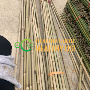 Matériel de bambou de haute qualité piquets cannes de bambou traitées bambou naturel brut artificiel Vietnam - Product Image 5