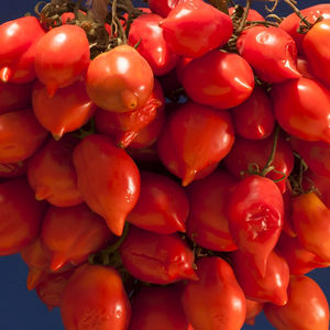 Alimenco pacchetella di piennolo Del vesuvio Dop 1062ml Mason Jar Cà Chua Anh đào tươi 36M Thời hạn sử dụng - Product Image 2