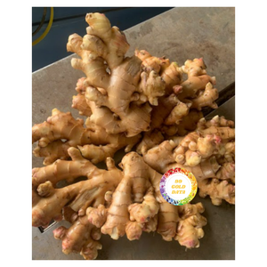 ALTA CALIDAD VIETNAM RAÍCES DE JENGIBRE FRESCO PRODUCTO NATURAL SUMINISTRO EXPORTACIÓN A GRANEL CON EL MEJOR PRECIO - Product Image 4