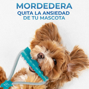 Giocattolo Interattivo per Cani Anti-Stress, Massaggiagengive Ricaricabile con Impugnature Ergonomiche - Product Image 5