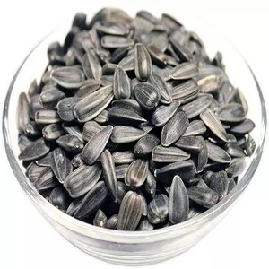 Graines de tournesol brutes / Graines de tournesol grillées/séchées pour la production d'huile de tournesol, vente en gros - Product Image 1