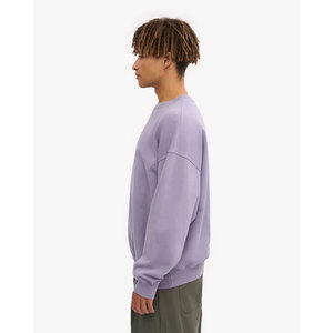 Sudadera de Cuello Redondo Extra Grande para Hombre, Color Lavanda Sólido, Corte Regular, Tejido de Felpa, Estilo Casual, para Otoño - Product Image 3