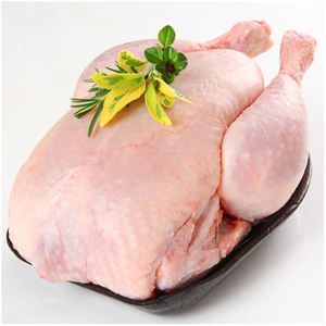 Pollo Entero Congelado con Certificación Halal para la Venta al por Mayor, Pollo Entero Halal Congelado, Pollo Congelado - Product Image 1