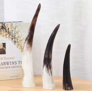 Jarra de Cuerno de Búfalo Hecha a Mano, Estilo Vikingo de la India, Jarra de Metal con Logotipo Grabado Personalizado, Artesanía Natural de Primera Calidad - Product Image 3