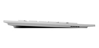 Ensemble clavier et souris sans fil d'origine CHERRY DW 8000 2.4 GHz Design mince combiné à piles en argent/blanc