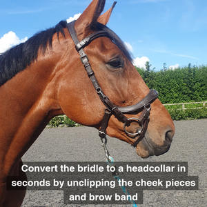 Multibridle de Equine Balance Anatomical Training Brida Color Marrón Tamaño Completo - Product Image 3