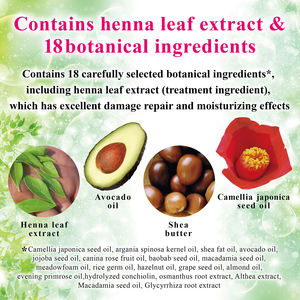 ผลิตภัณฑ์ดูแลเส้นผมสีดำอ่อนปราศจากไดอามีนขนาด300มล. สำหรับการทำสีผมให้ความชุ่มชื้น - Product Image 4