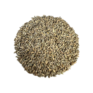Granos de centeno Premium de alta calidad Producto de alimentación animal a granel Grano de cebada de alta calidad para la venta - Product Image 2