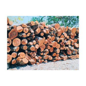 Bois de chauffage en acajou de première qualité fourni en vrac pour les industries du chauffage et de la cuisine - Product Image 3