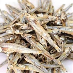 High Quality Export Dried Anchovy Fish <b>Sprats</b> From Vietnam for Cattle Horse Pig at Competitive Price - Product Image 6