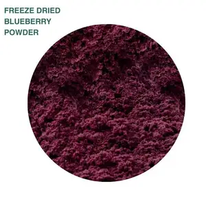 Made In Italy Bulk Wholesale Nutrient Natural Superfood Healthy Freeze Dried Blackberry Powder