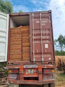 Placage de noyau d'eucalyptus d'acacia pour panneaux de contreplaqué, provenant d'un fabricant vietnamien, utilisation multi-colles, placage de noyau d'eucalyptus du Vietnam - Product Image 5