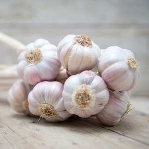 Acheter 100% Ail Blanc Frais Naturel Biologique de Légumes Liliacés avec Livraison Rapide Ail Blanc Pur de Qualité Premium - Product Image 6
