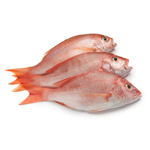 Dorade rouge congelée en vrac en vente en ligne poisson de fruits de mer frais dorade rouge acheter du poisson congelé - Product Image 1