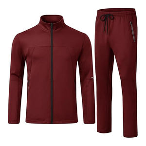 Conjunto de chándal de 2 piezas para hombre Polo Athletic Sweatsuit Jogging manga larga Casual Sports Outfits - Product Image 5