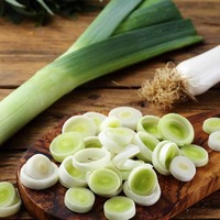 POIGNÉE FRAÎCHE VENTE EN GROS/FOURNISSEUR DE POIGNÉE BIOLOGIQUE EN VRAC/EXPORTATION DE QUALITÉ FERME DIRECTE