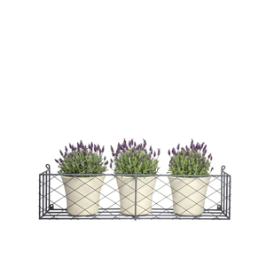 Jardinera Rectangular Grande de Hierro Estilo Antiguo, Decoración de Jardín de Metal de Diseño Vintage, Adorno de Exterior en Oferta - Product Image 3