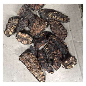 ผลไม้ noni แห้งไม่ใช้สารเคมีชาผลไม้โนนิแห้ง Morinda citrifolia ที่มาจากผลไม้ในเวียดนาม - Product Image 1