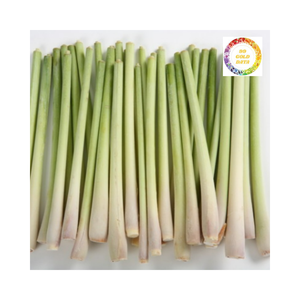 ตะไคร้แช่แข็งออร์แกนิก2025จากเวียดนาม - Product Image 6