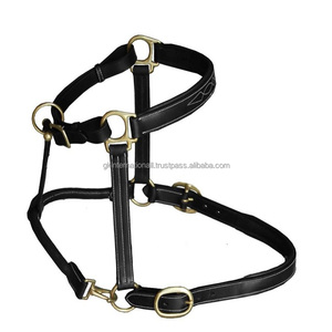 Cabellera de cuero con relleno de caballo, cosido de vaca, floral, lujo, hecho a medida, con hardware de latón, 2023 - Product Image 5