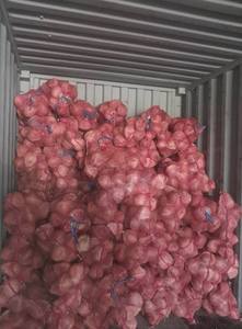 Type semi-décortiqué de noix de coco mature fraîche de qualité exportée avec de l'eau de noix de coco douce adaptée à l'industrie alimentaire et aux recettes de noix de coco - Product Image 2