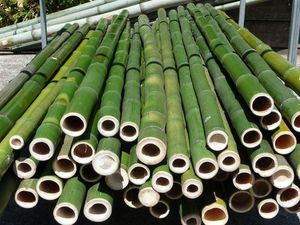 เสาไม้ไผ่โรงงานเวียดนามคุณภาพสูงพร้อมขนาดที่กําหนดเองเพื่อการเกษตร / ท่อเสาไม้ไผ่ธรรมชาติจํานวนมาก - Product Image 5