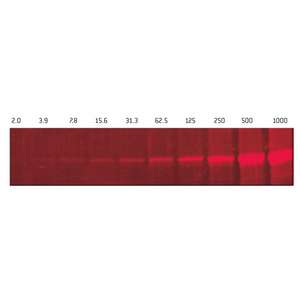 Lonza SYPRO Rouge Protéine Gel Teinté 5000X DMSO Concentré 500uL Lab Supply - Product Image 1
