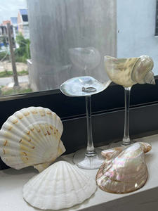 Elegante caracola de cristal para cenas elegantes y regalos perfectos para exportar al sector de la hostelería internacional - Product Image 5