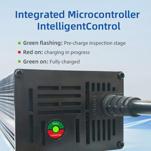 Cargador Rápido de 800W 60V 10A LiFePO4 para Vehículos Eléctricos de Tres Ruedas con Resistencia al Agua IP34 y Apagado Automático - Product Image 3