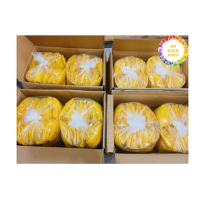 Mango seco Madurado al sol Material de mango de Vietnam para batidos Confitería Panadería y exportación internacional Suministro de alimentos - Product Image 2