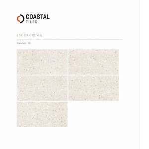 Azulejos de porcelana de alta calidad 2X4 de 600x1200 mm a precio de mayoreo, varios tamaños, diseño de superficie y personalización disponibles - Product Image 1