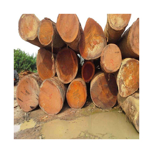 Compre troncos de haya en línea entrega de leña a granel para estufas chimeneas fogatas hornos de pizza y fogatas al aire libre - Product Image 5