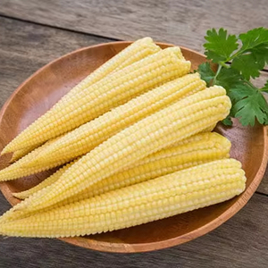 HOT PRODUCT!! <b>BABY</b> CORN CAN FROM VIETNAM!!! SUPER FRESH CORN 100% NATURAL/ the BEST CHOICE - Product Image 3