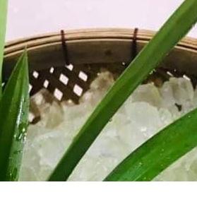 ว่านหางจระเข้เจลลี่จากพืชมีเนื้อสัมผัสที่เย็นสบายซึ่งเป็นที่รักสำหรับประโยชน์ต่อสุขภาพและคุณภาพที่สดชื่นในทุกการกัด - Product Image 4