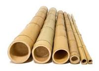 Precio barato de alta calidad, gran oferta, postes de bambú Natural para jardín, granja, edificios, planta, apoyo, esgrima deportiva, artesanía