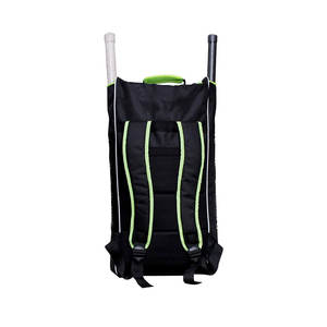 Bolsas de Cricket para Hombre ALL PRO WEAR Más Vendidas - Último Estilo, Servicio OEM con Colores y Tamaños Personalizados - Product Image 3