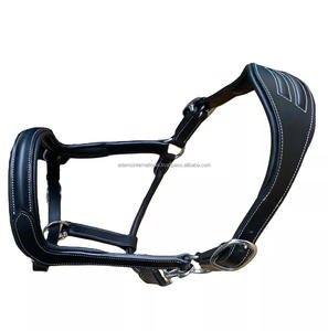 Halter d'équitation à rembourrage souple de haute qualité avec raccords en laiton Équipement de cheval de qualité du grossiste - Product Image 2